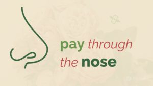 pay through the nose